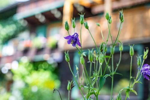 Outdoor Pictures 24