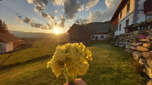 Outdoor Pictures 23