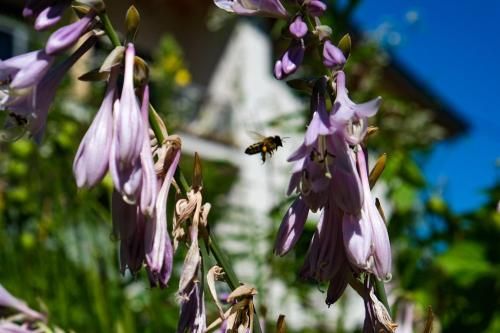 Outdoor Pictures 22