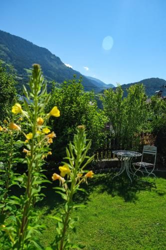 Outdoor Pictures 24
