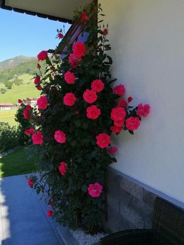Outdoor Pictures 22