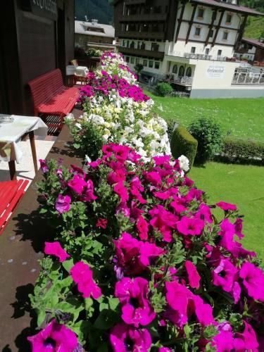Outdoor Pictures 24