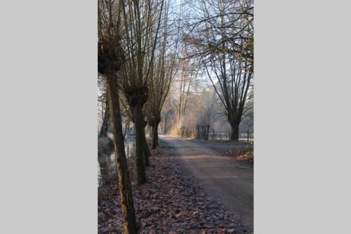 Outdoor Pictures 15