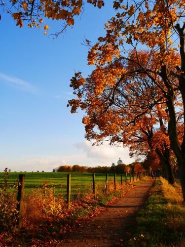 Outdoor Pictures 9