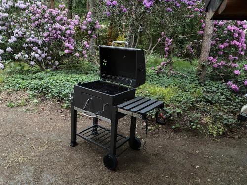 Outdoor Pictures 20