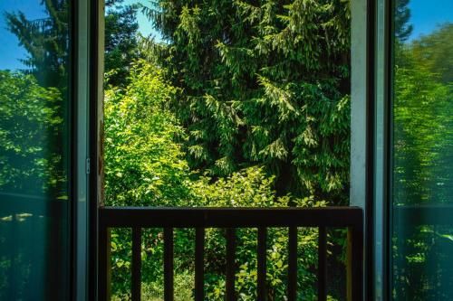 Outdoor Pictures 21