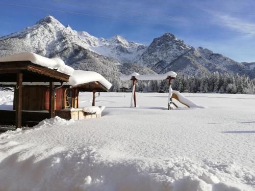 Outdoor Pictures 10