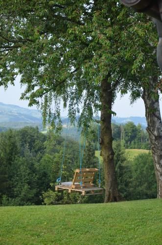 Outdoor Pictures 20