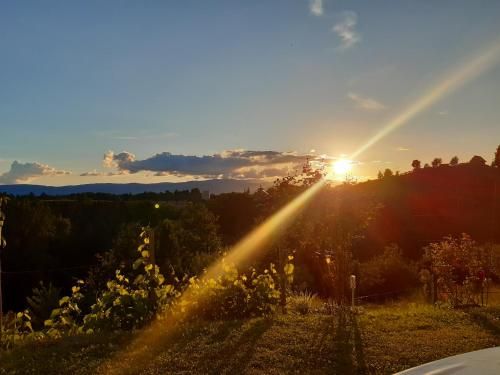 Outdoor Pictures 15