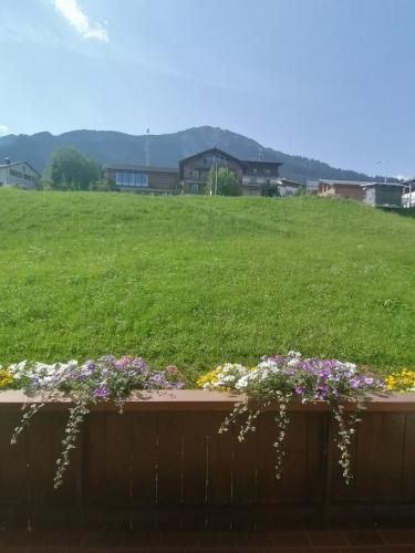 Outdoor Pictures 4