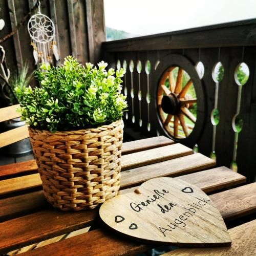 Outdoor Pictures 3
