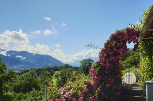 Outdoor Pictures 1