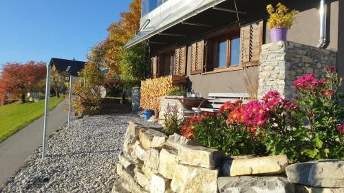 Outdoor Pictures 24