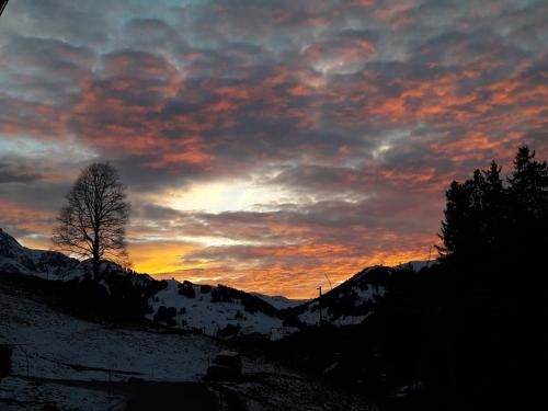Outdoor Pictures 16