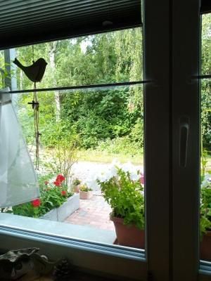 Outdoor Pictures 12