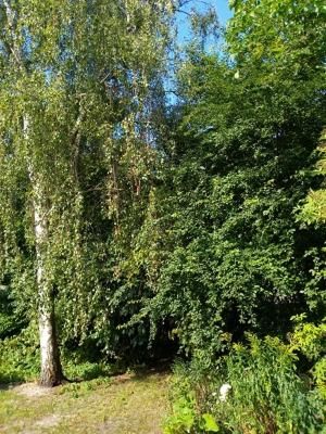 Outdoor Pictures 17