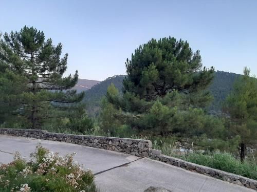 Outdoor Pictures 5