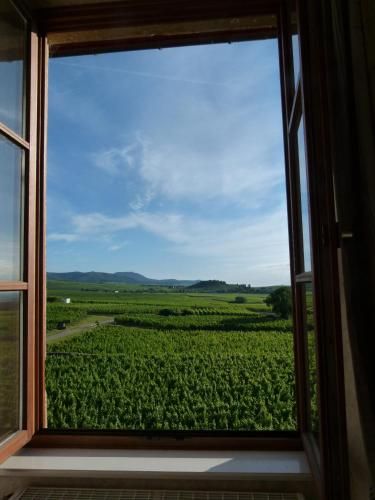 Domaine du Bouxhof