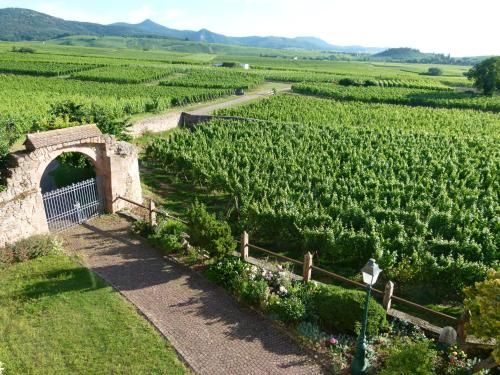 Domaine du Bouxhof