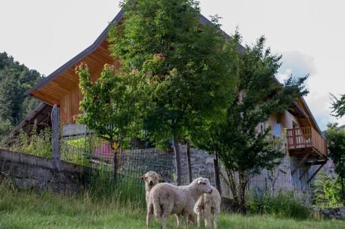 Outdoor Pictures 21