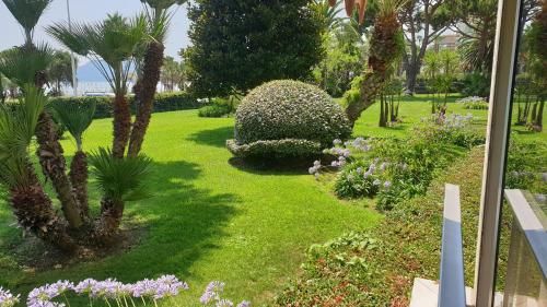 Outdoor Pictures 24