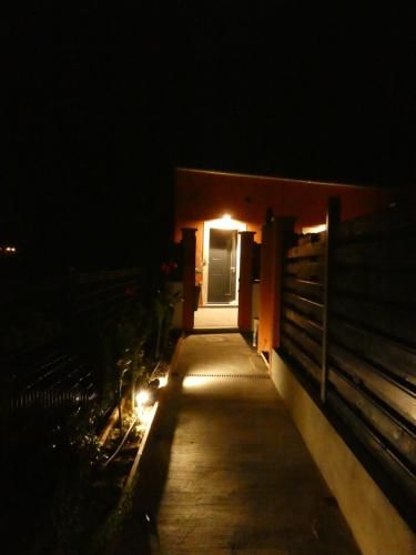 Outdoor Pictures 9