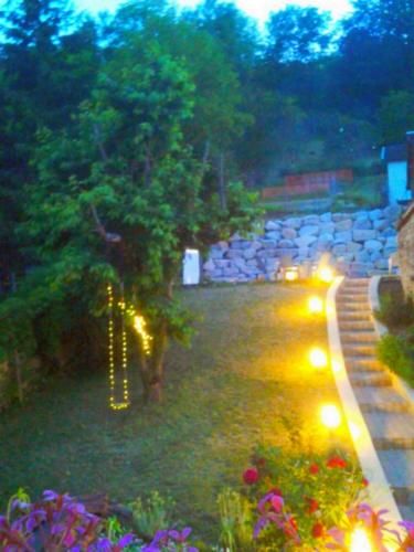 Outdoor Pictures 7