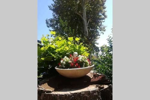 Outdoor Pictures 15