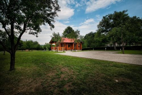 Outdoor Pictures 24
