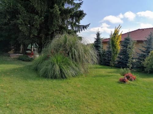 Outdoor Pictures 24