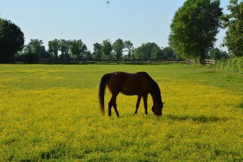 Outdoor Pictures 15