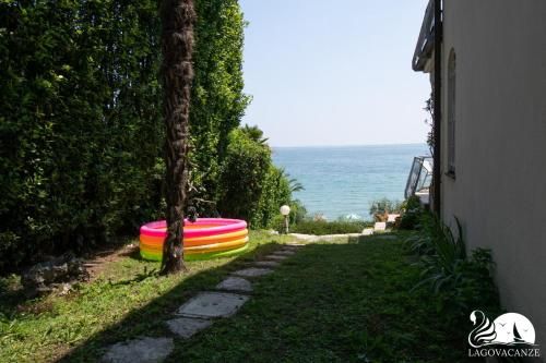 Outdoor Pictures 6