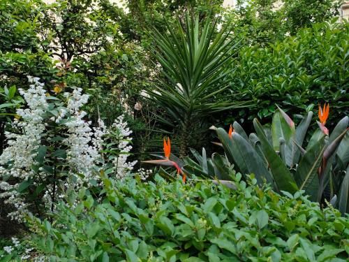 Outdoor Pictures 11