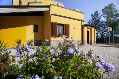 Outdoor Pictures 22