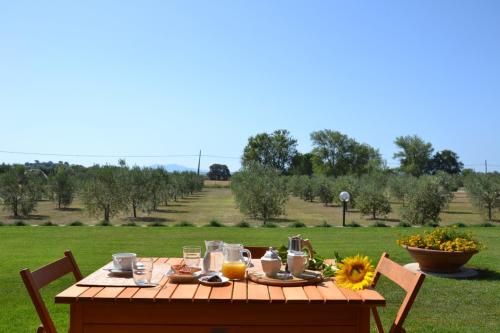Outdoor Pictures 24