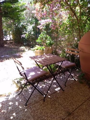 Outdoor Pictures 3