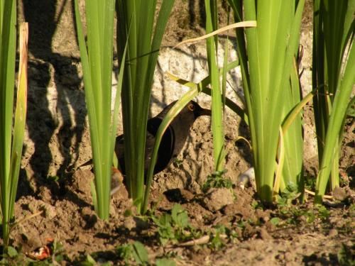 Outdoor Pictures 6