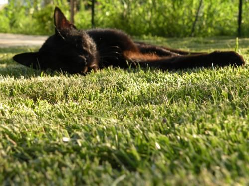 Outdoor Pictures 11