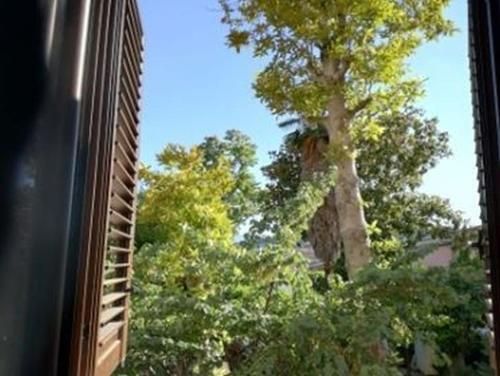 Outdoor Pictures 1