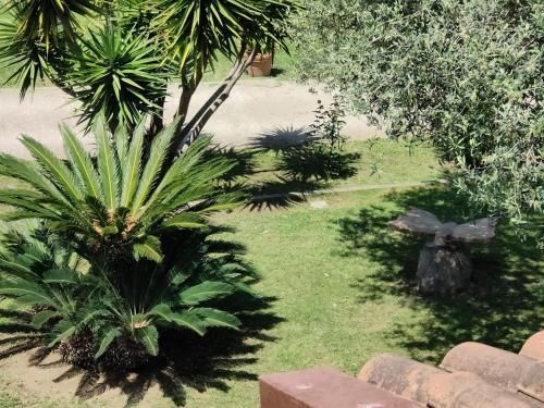 Outdoor Pictures 10