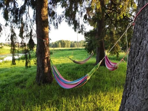 Outdoor Pictures 7