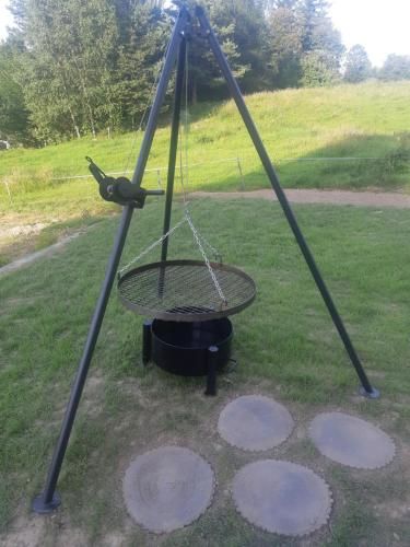 Outdoor Pictures 5