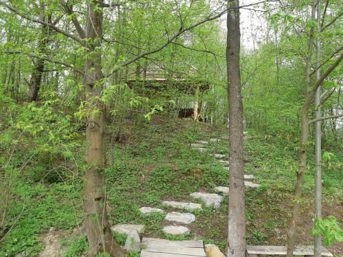 Outdoor Pictures 13