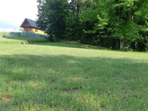 Outdoor Pictures 15