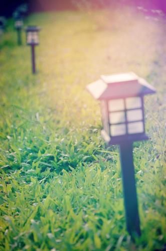 Outdoor Pictures 6