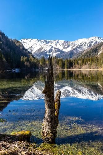 Outdoor Pictures 15