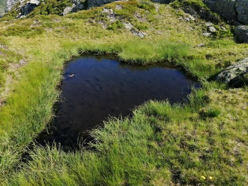 Outdoor Pictures 22