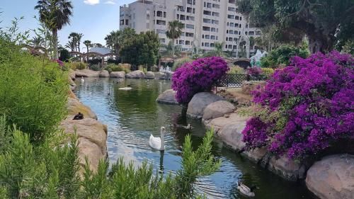 Outdoor Pictures 24
