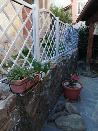 Outdoor Pictures 9
