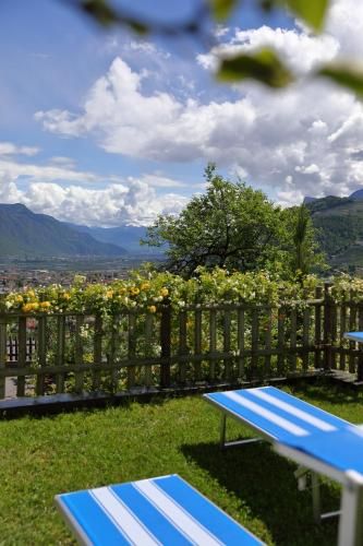 Outdoor Pictures 24